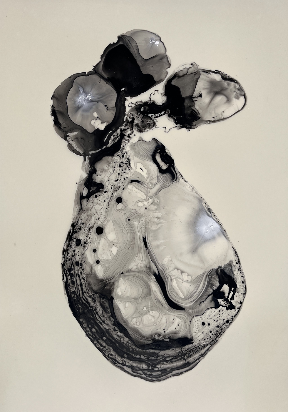 Siphonophore 03