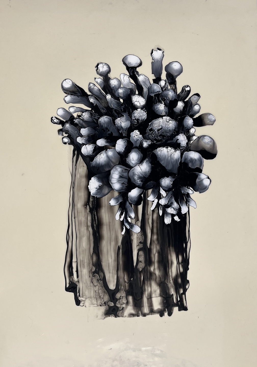 Siphonophore 04
